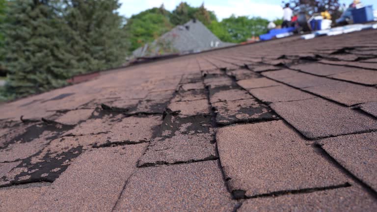 Best Rubber Roofing (EPDM, TPO)  in Sinton, TX