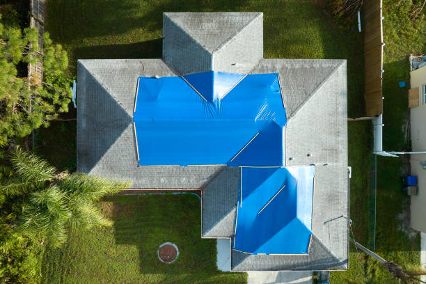 Best Roof Coating and Sealing  in Sinton, TX